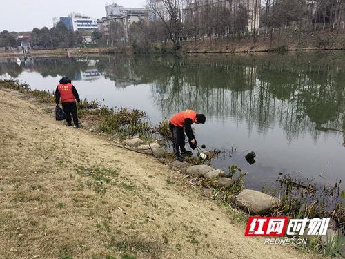 穿紫河街道退役军人志愿者 净化环境治污染,保护生态讲文明 志愿服务活动